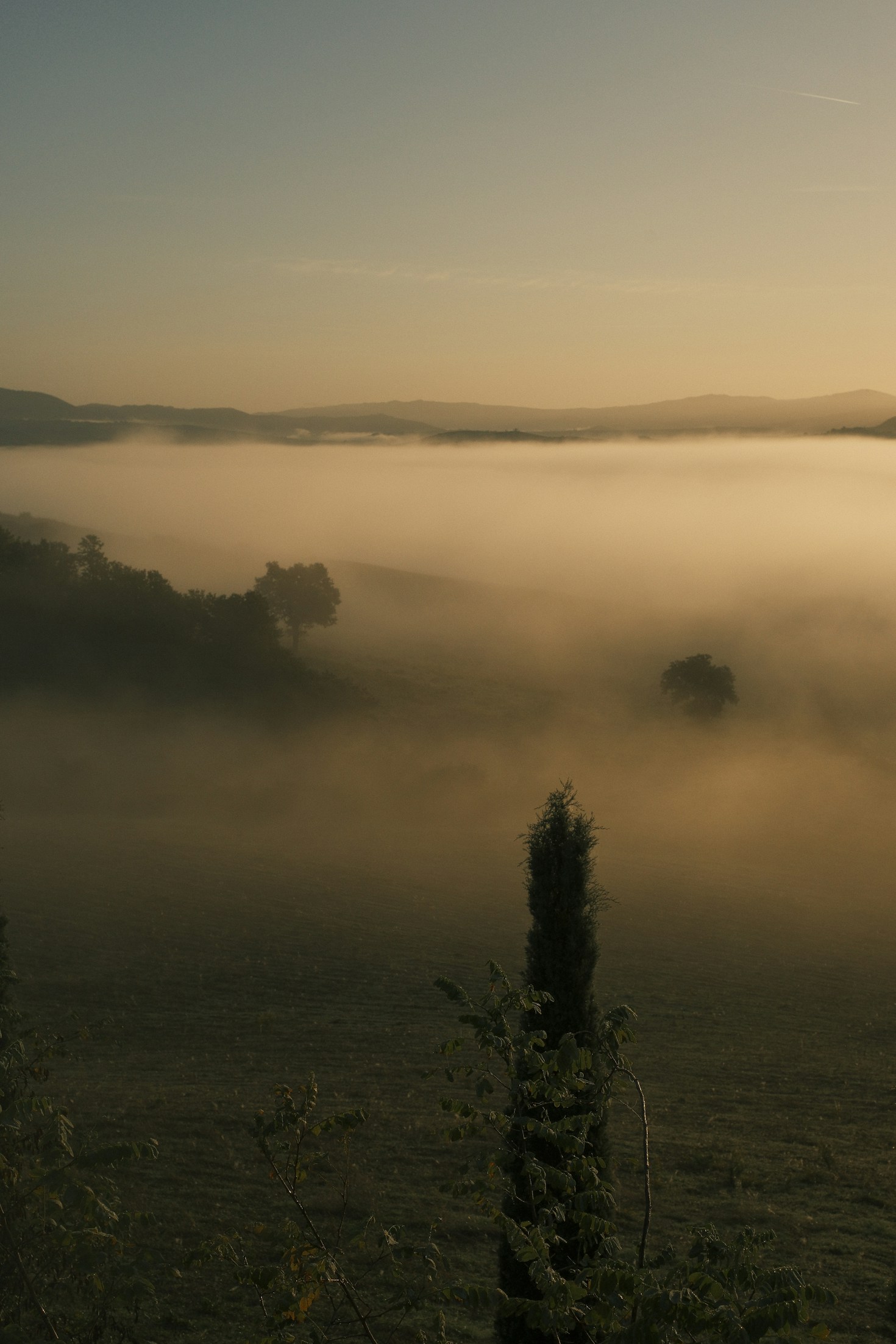 Writing Escape Tuscany photo 1729502831278 26697f386795