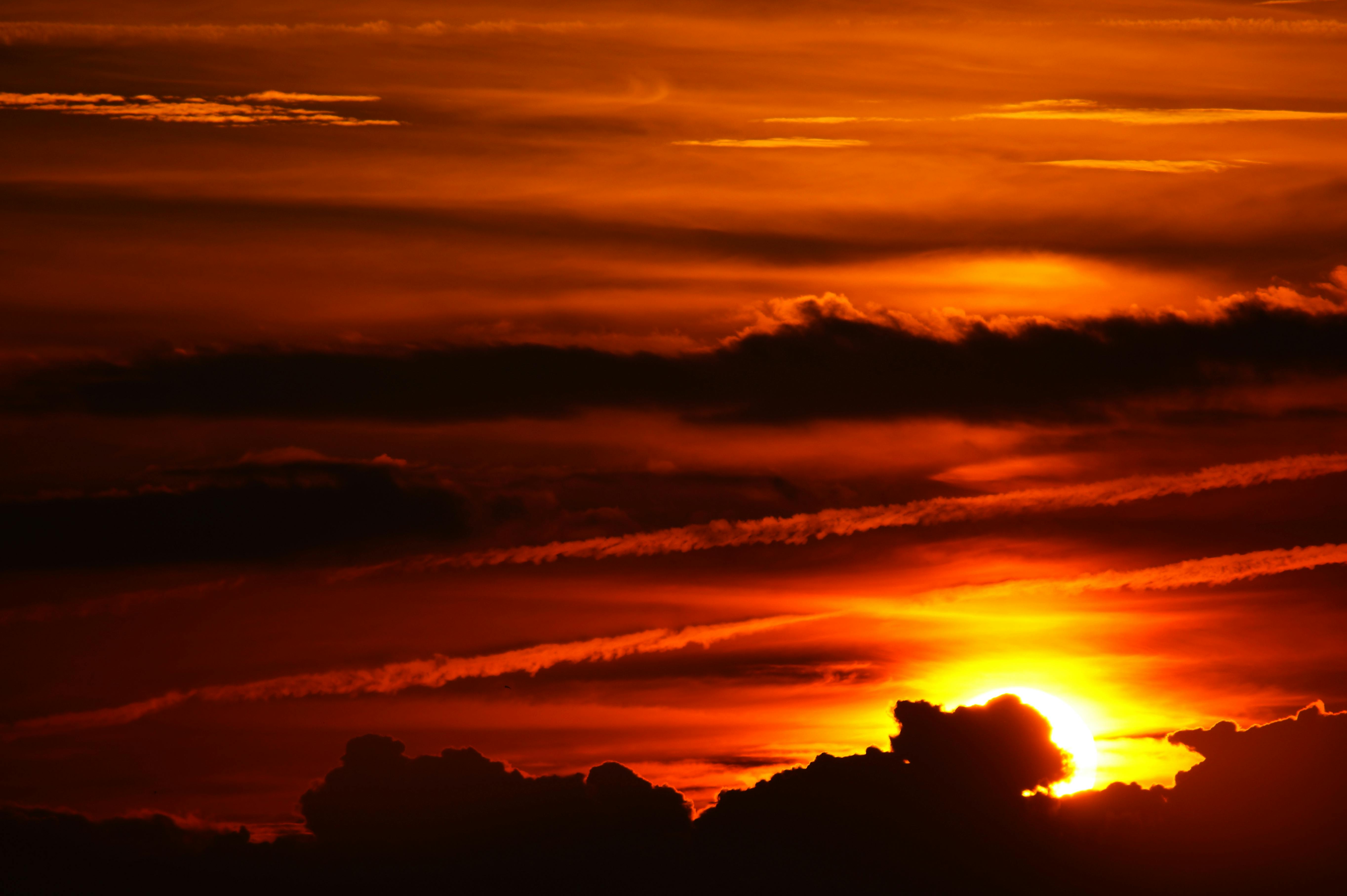 Stunning Sunsets in Guzzano, Tuscany: A Moment to Slow Down pexels photo 113570 113570 2