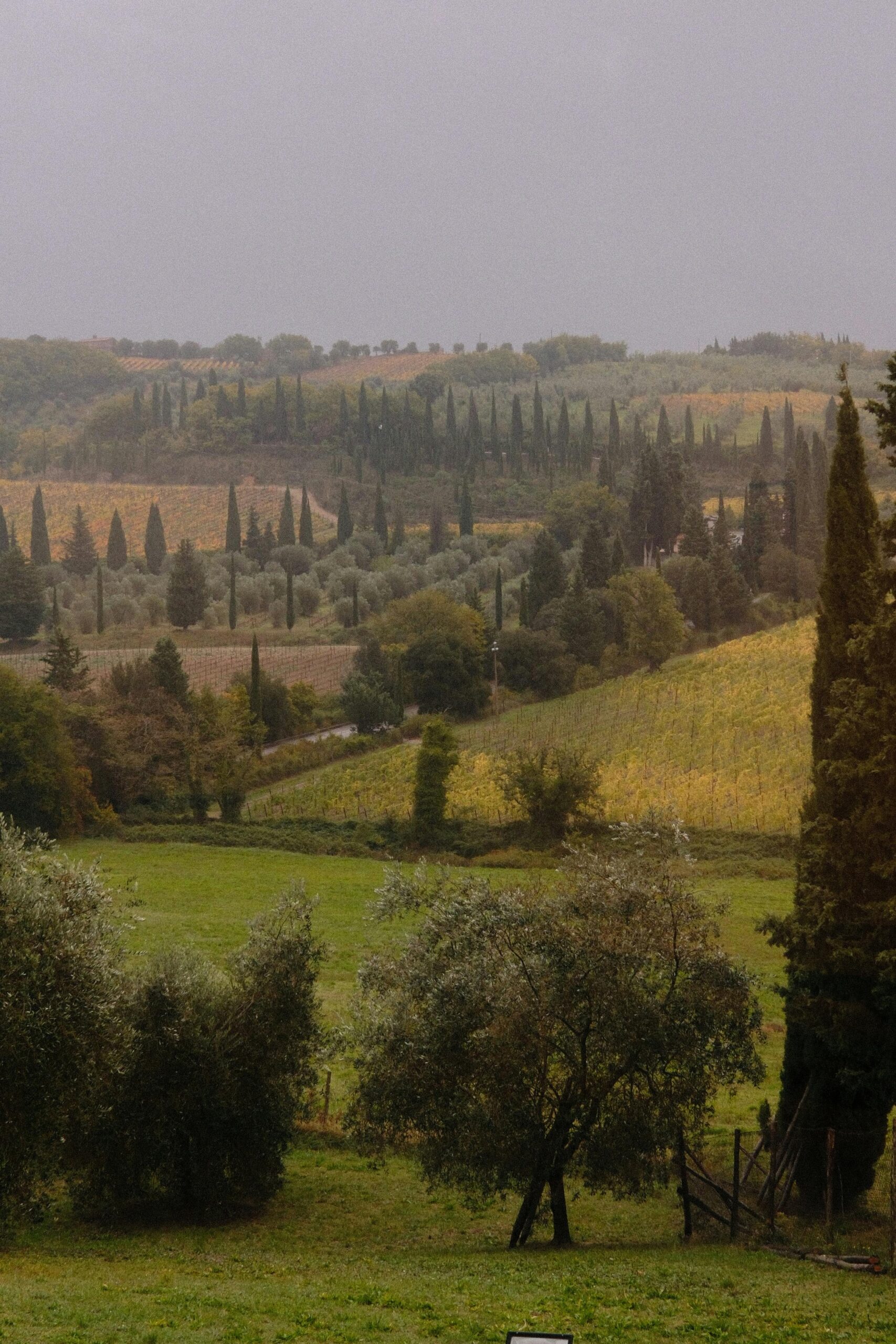 Writing Escape Tuscany A scenic view of the rolling hills and cypress trees in Tuscany during autumn.