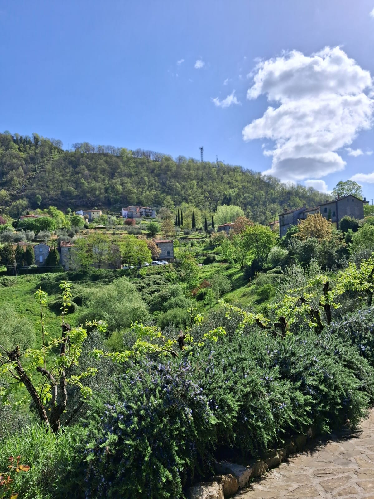 view 1