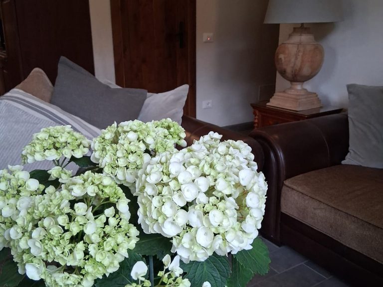 breathe retreat inside living room hydrangeas