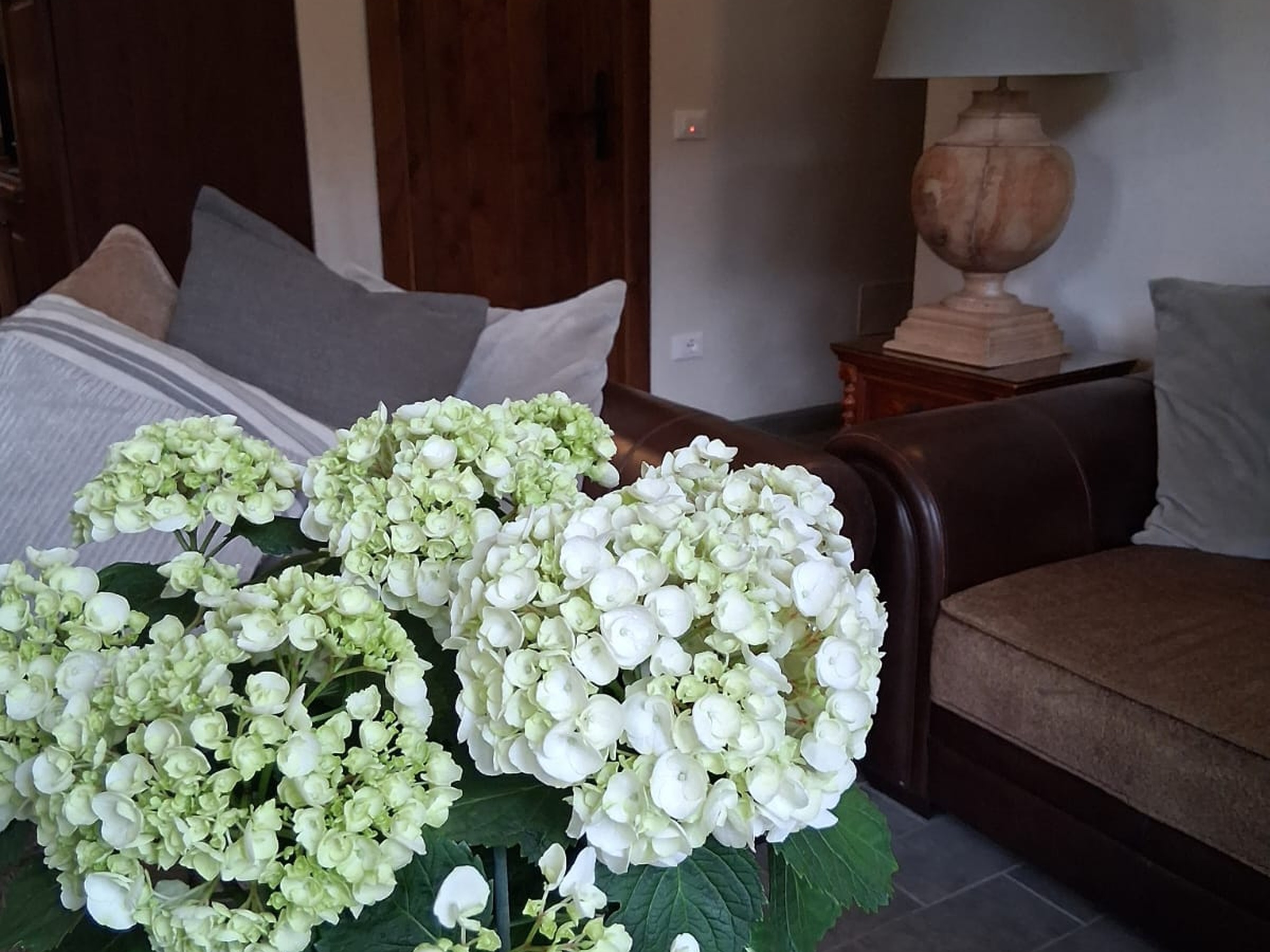 Gallery Living room with hydrangeas