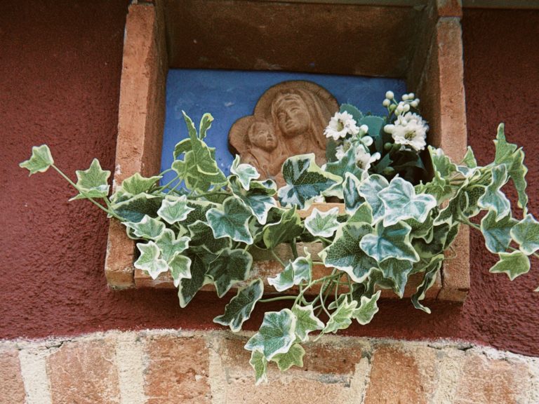 gallery breathe tuscany madonna shrine ivy doorway