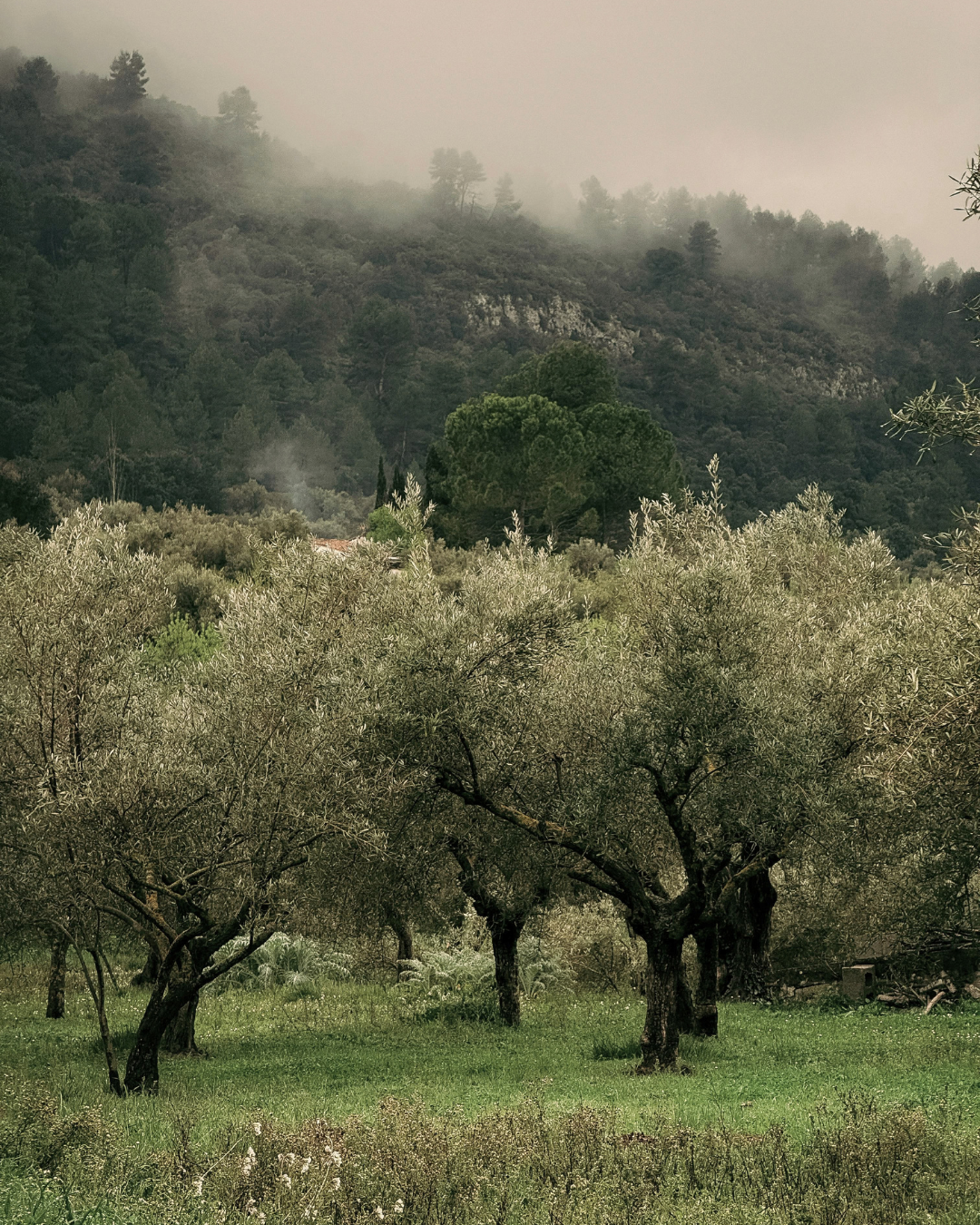 Gallery Breathe Tuscany retreat moment