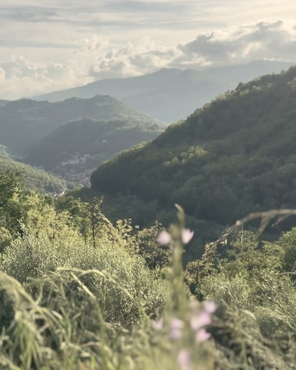 Gallery View over the wooded hills and valley near Bagni di Lucca in Tuscany